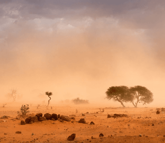 Dust Storm 1 Bea 11212 C