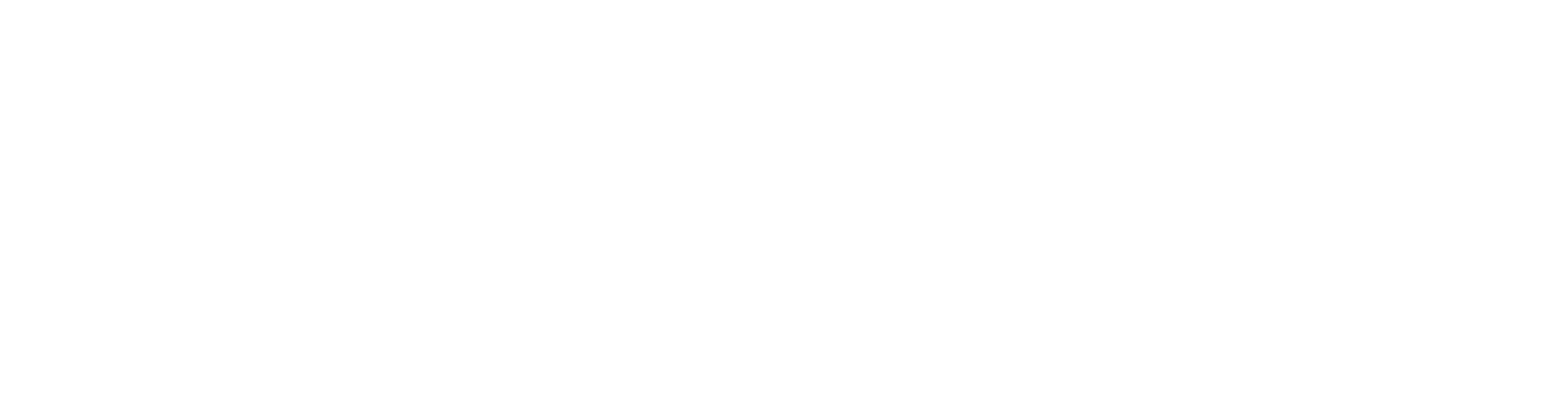 perspective